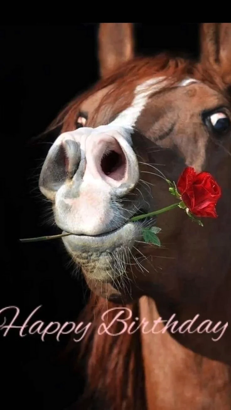 Лошадь с цветами во рту