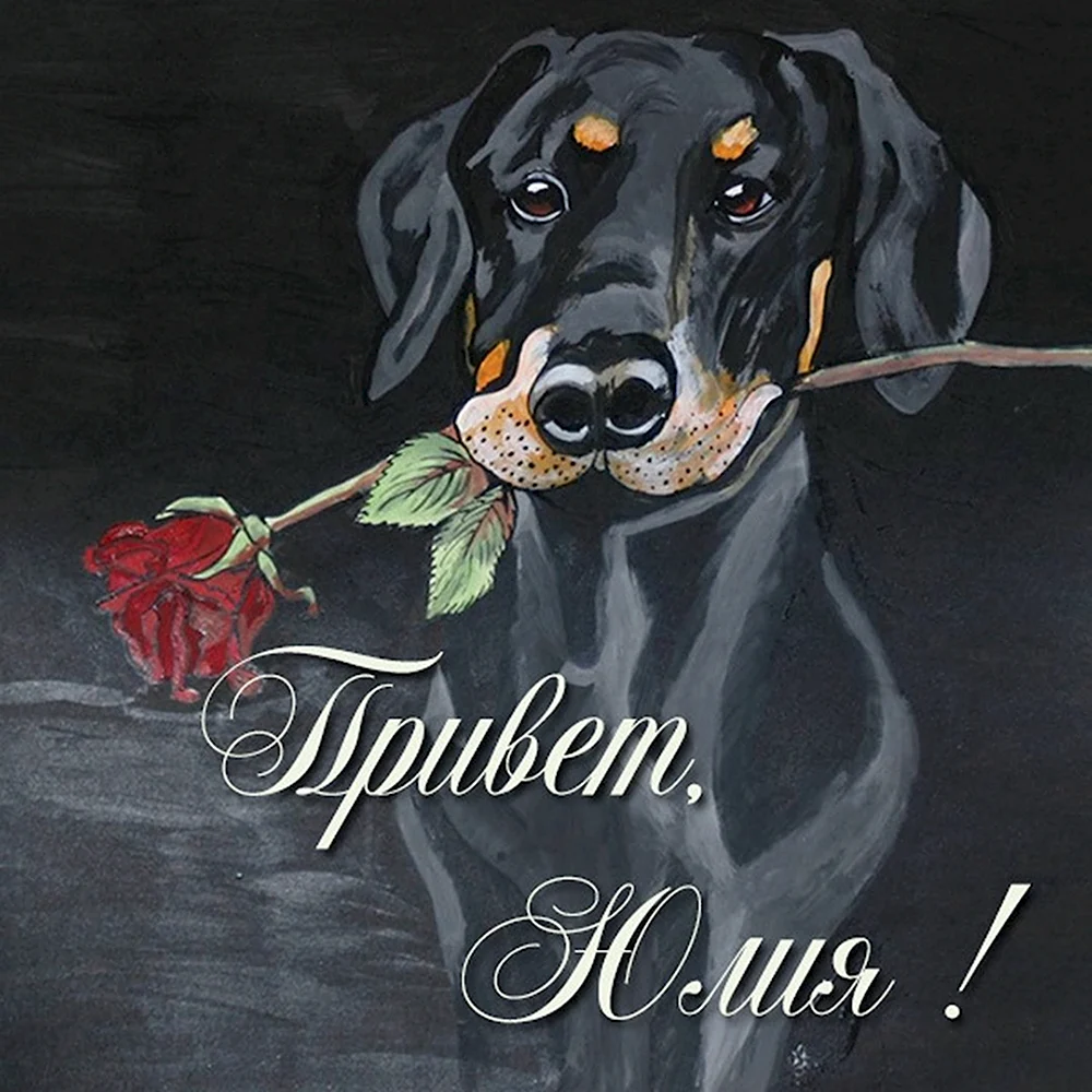Поздравительные открытки с собаками