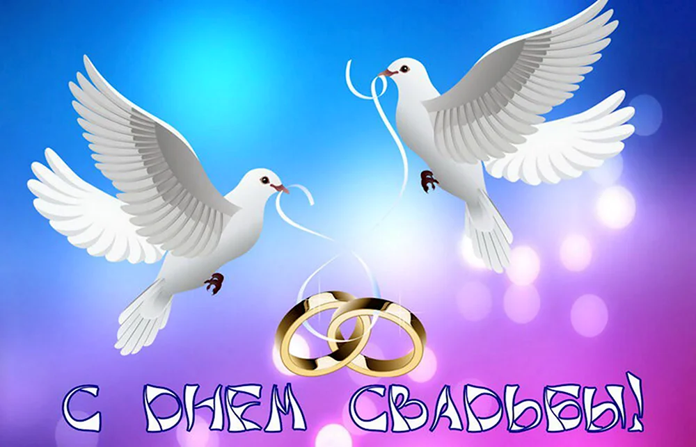 С днем свадьбы голуби