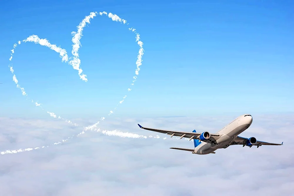 Самолет любви