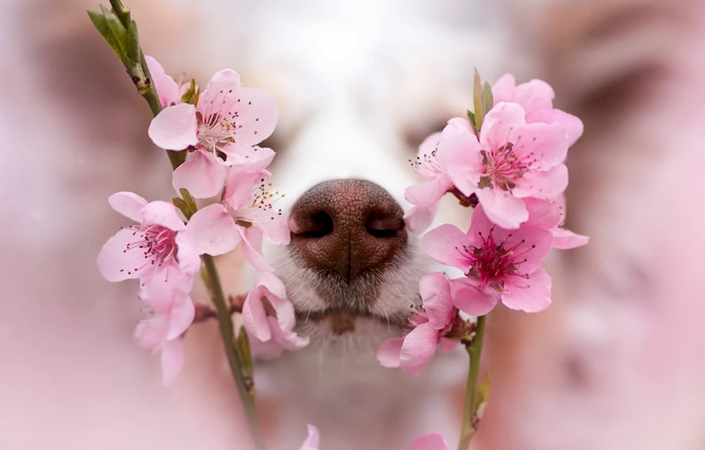 Весна на носу