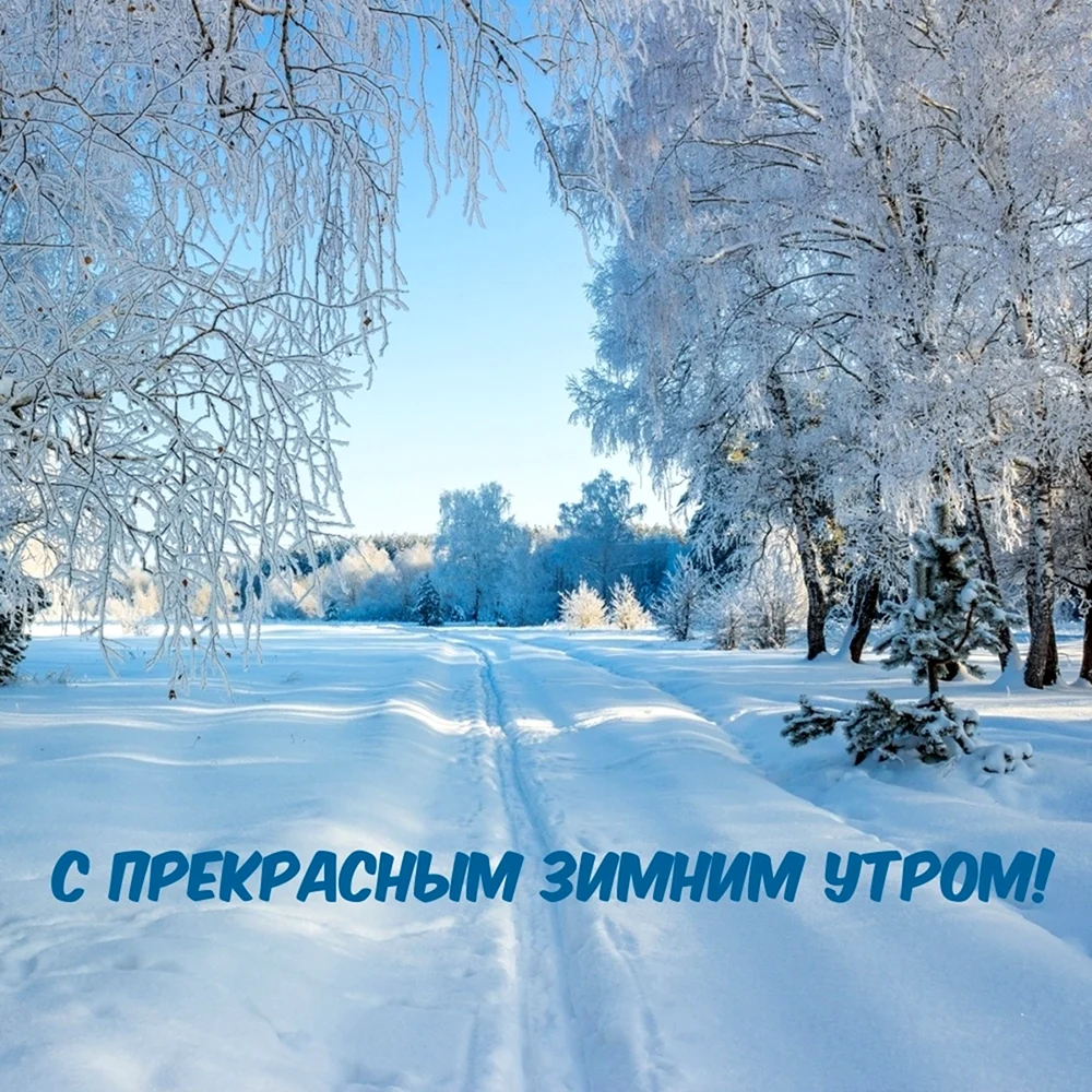Зима картинки