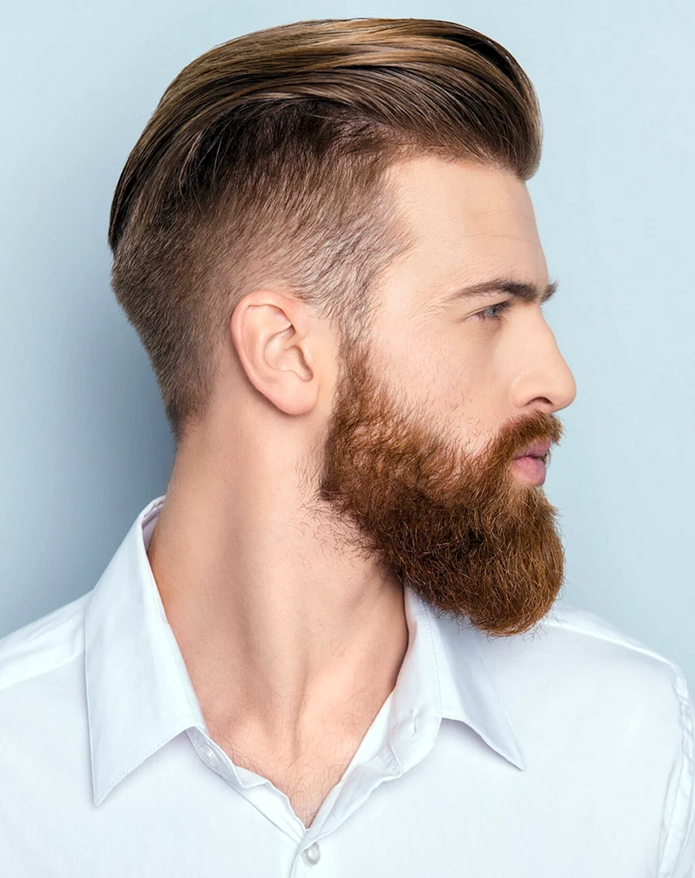 Beard Styles for men