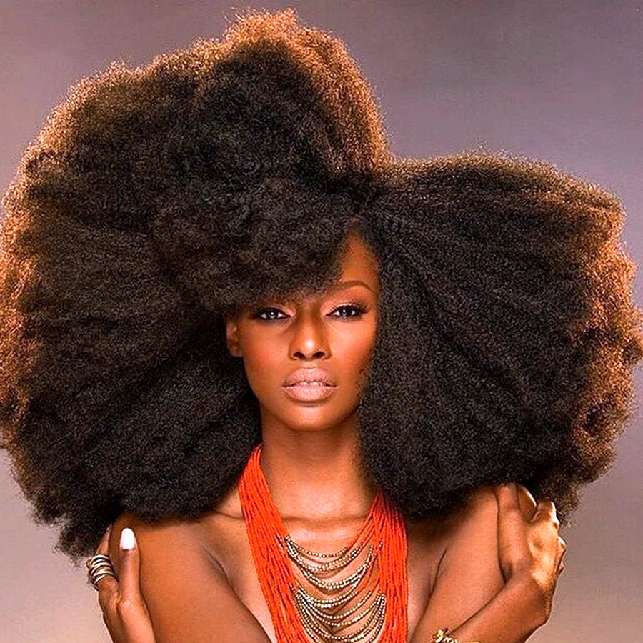 Black Afro hair