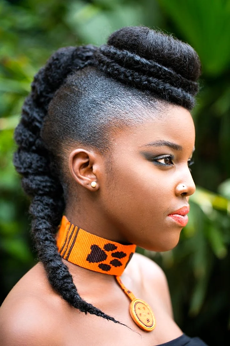 Black women Afro Hairstyle