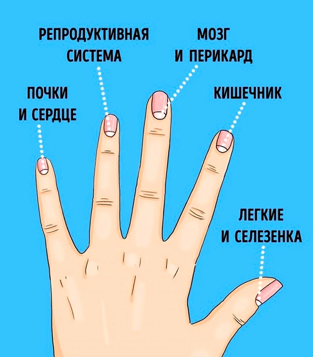 Болезни ногтей на руках таблица