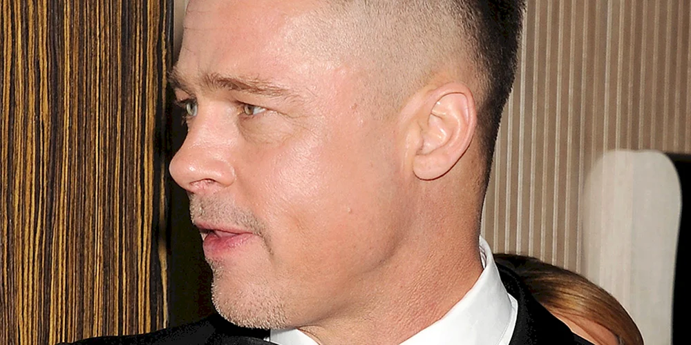 Brad Pitt profile