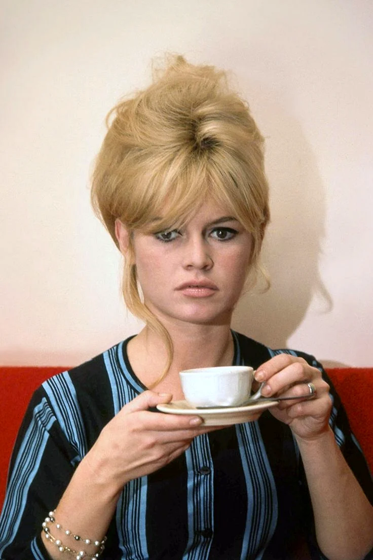Brigitte Bardot face