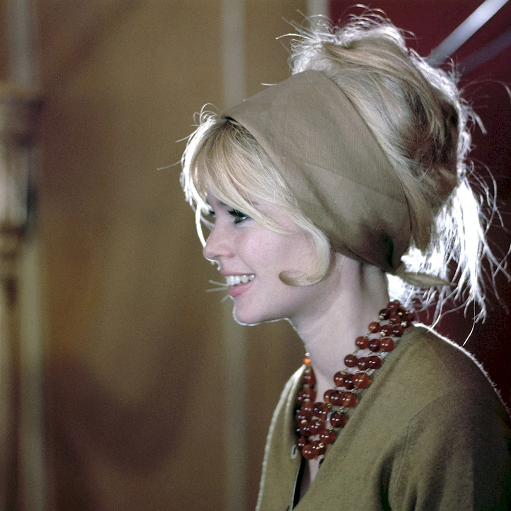 Brigitte Bardot hair