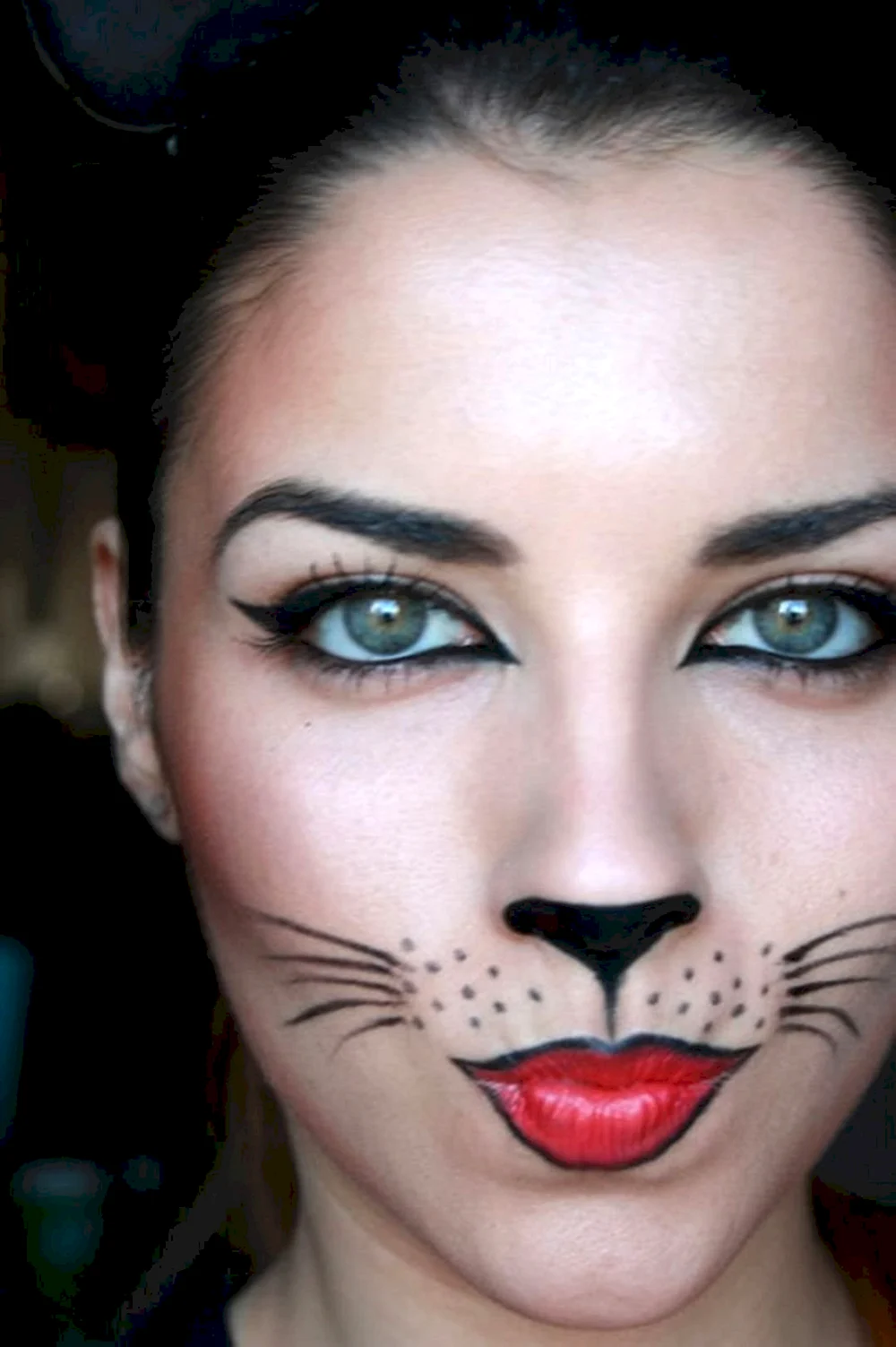 Cat face Makeup