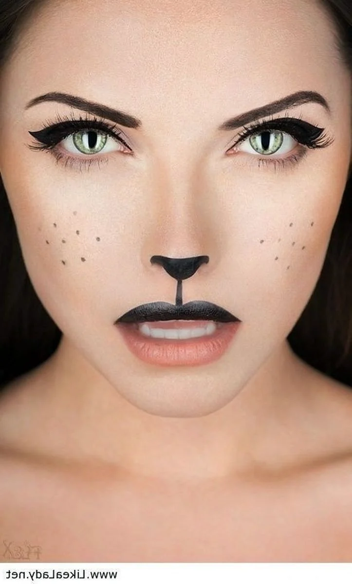 Cat Makeup