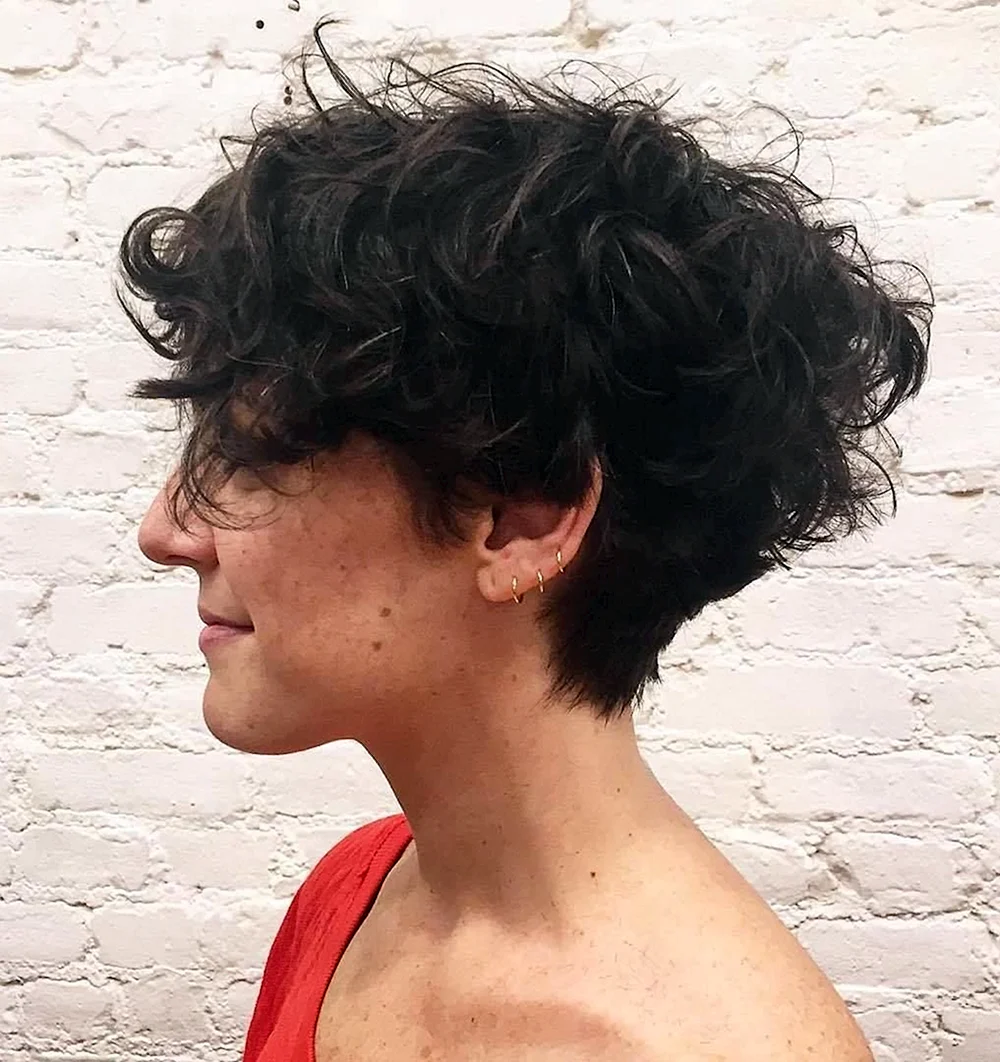 Curly Pixie Bob Hairstyles for Black women