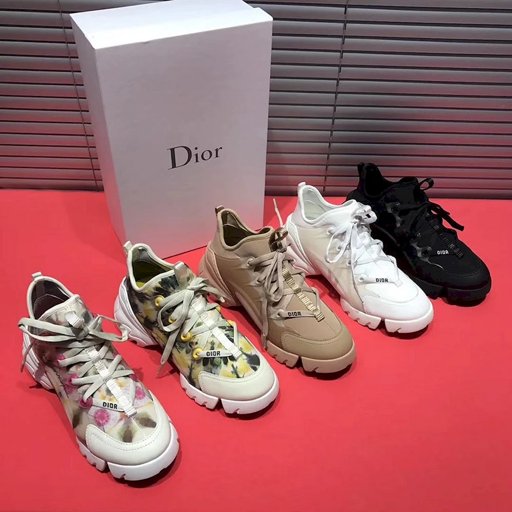 Dior d connect Sneaker