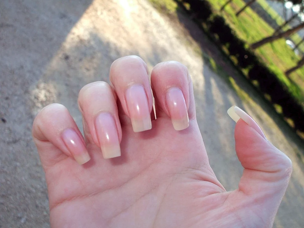 French Manicure long Nails