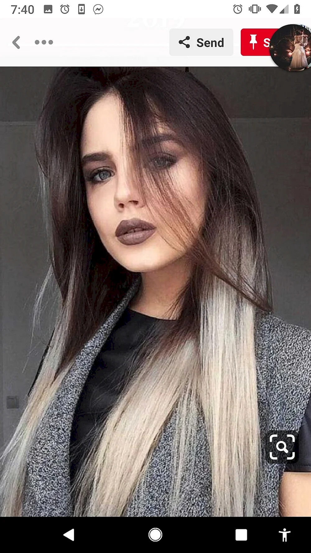 Gray hair and Brown hair