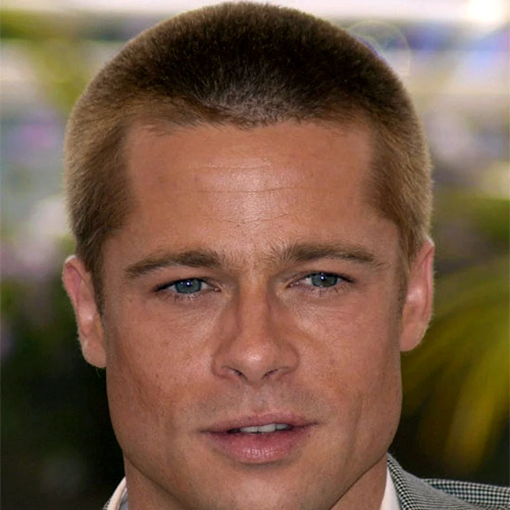 Haircut Brad Pitt