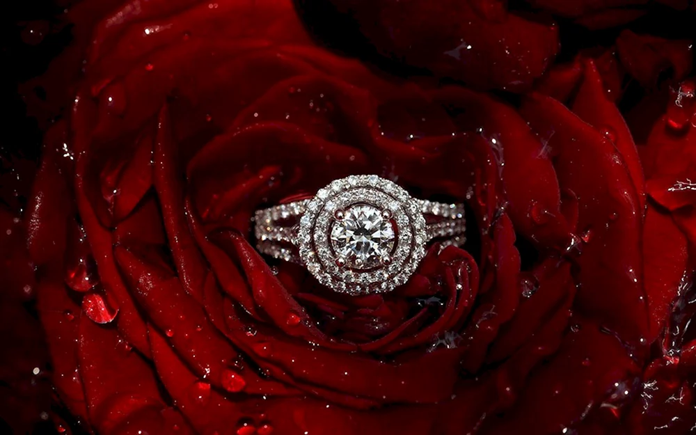 Jewelry Red Rose