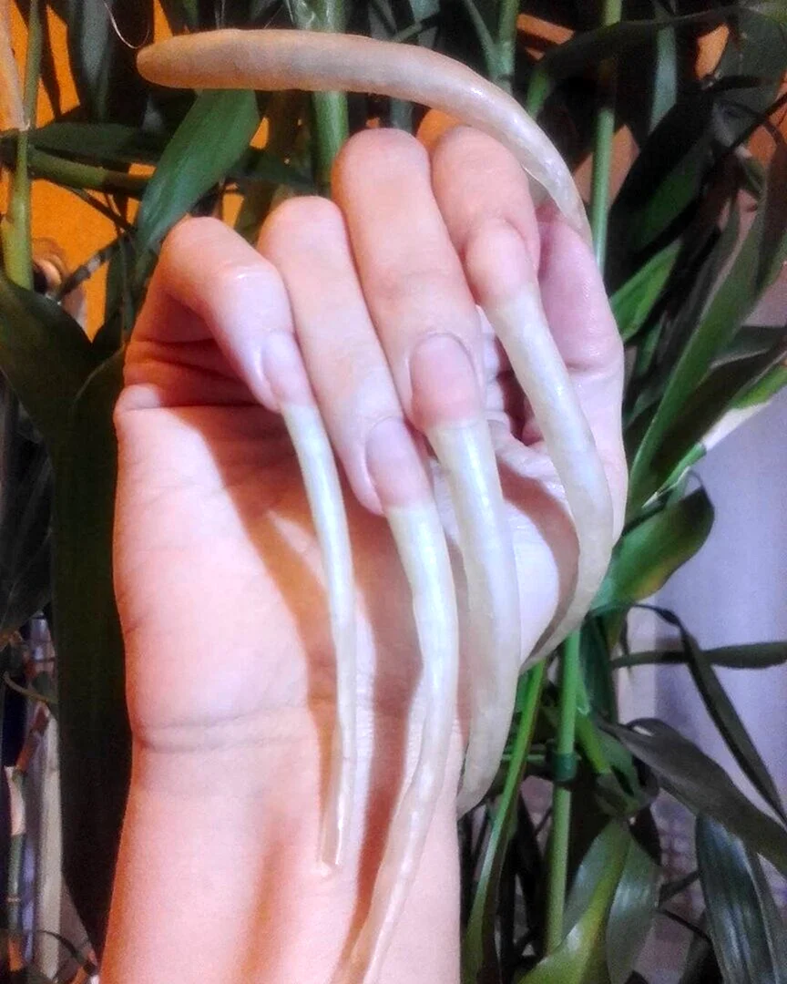 Keira Lawn lechery long Nails