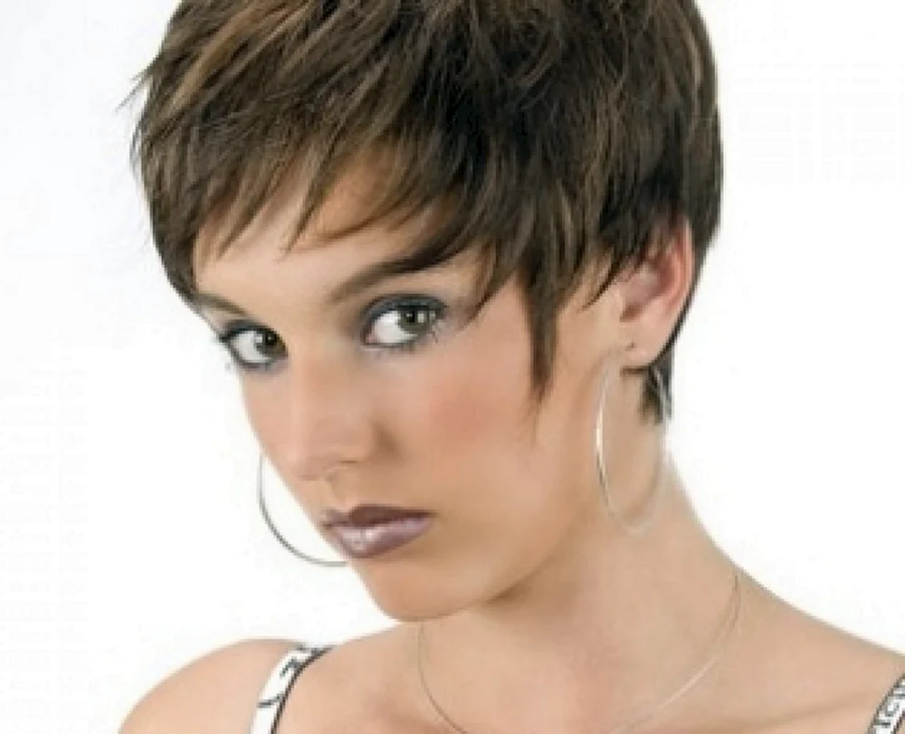 Lisa Minelli Hairstyle