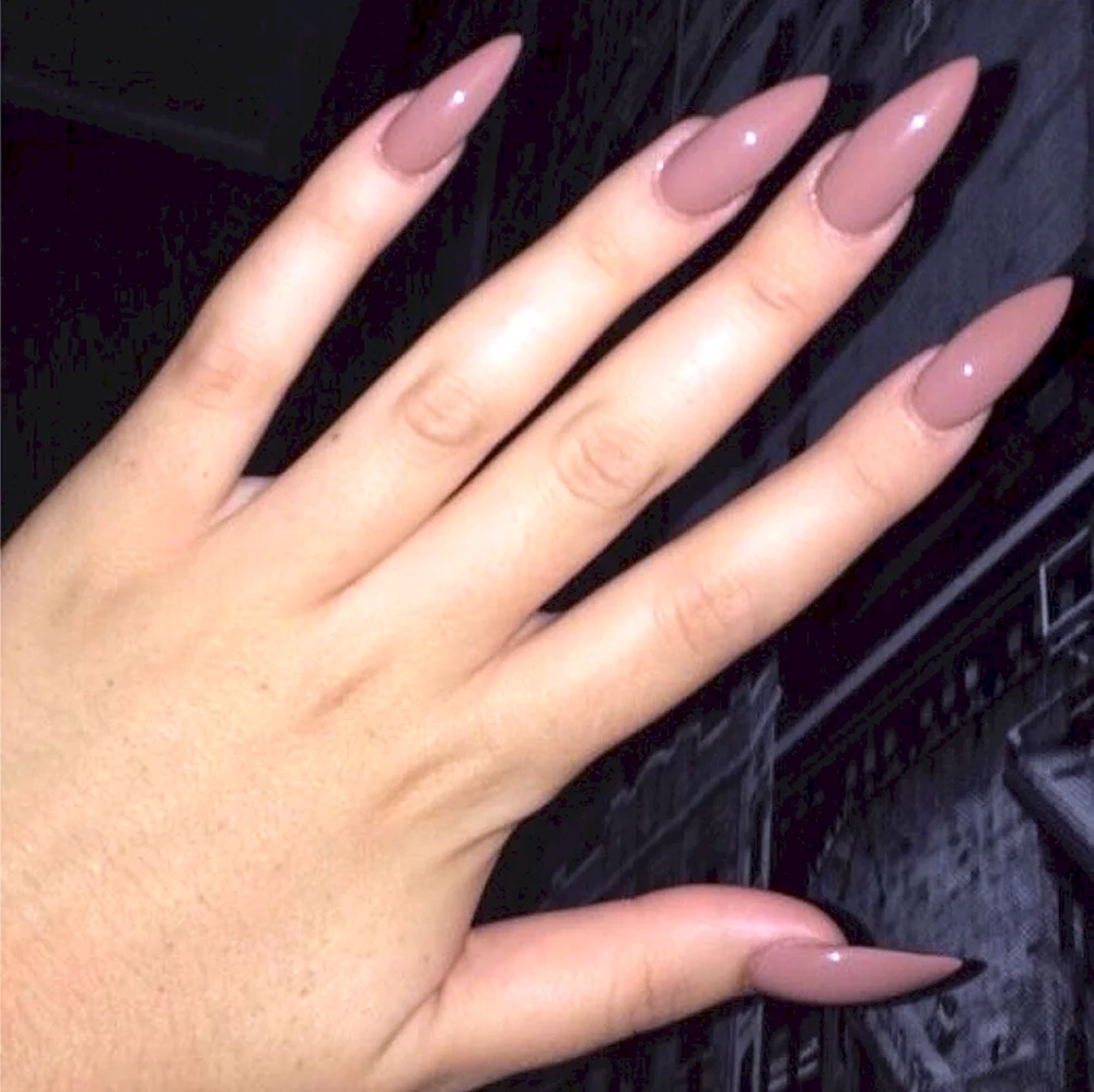 Matte French Extra long Nails