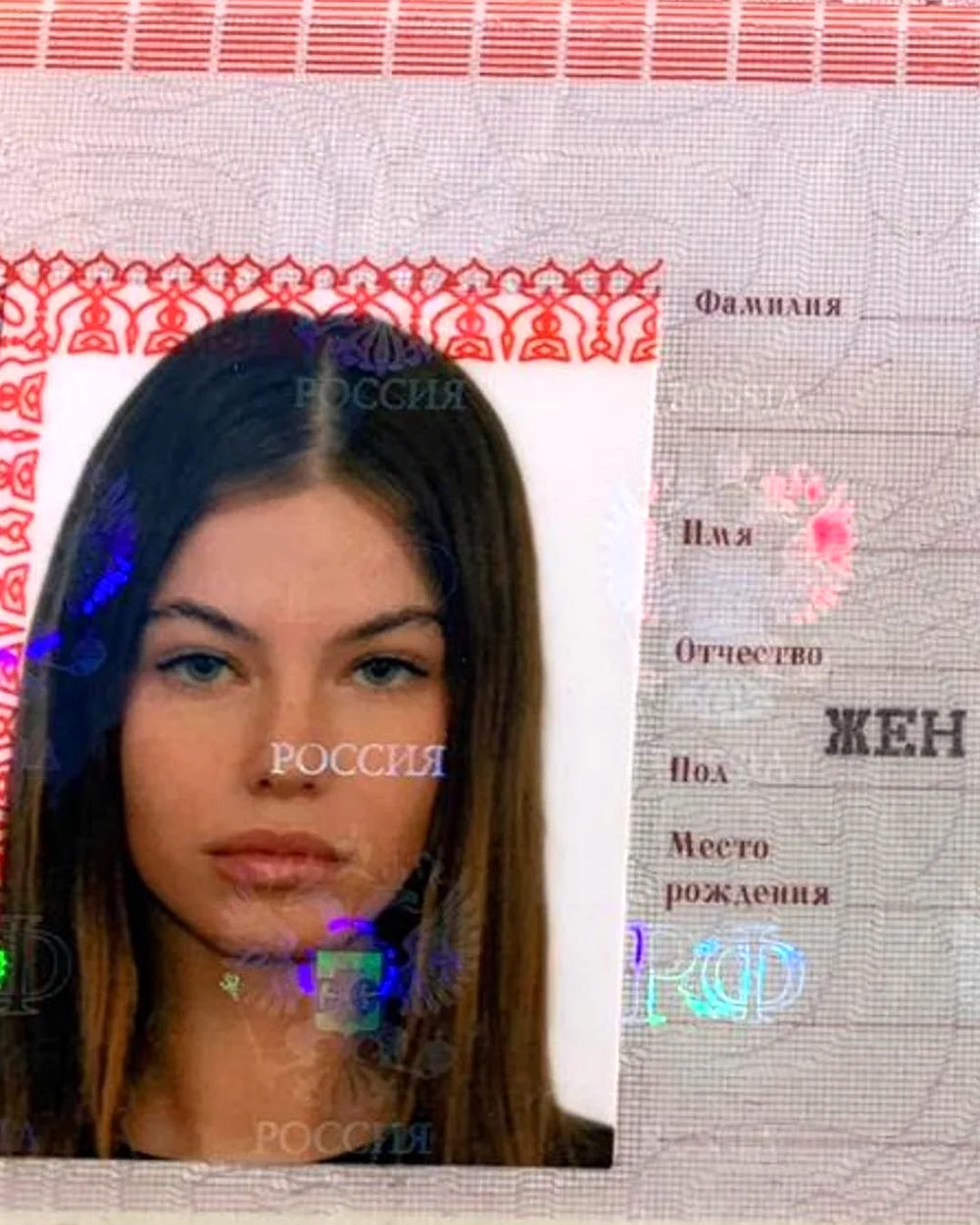 Passport beautiful photo
