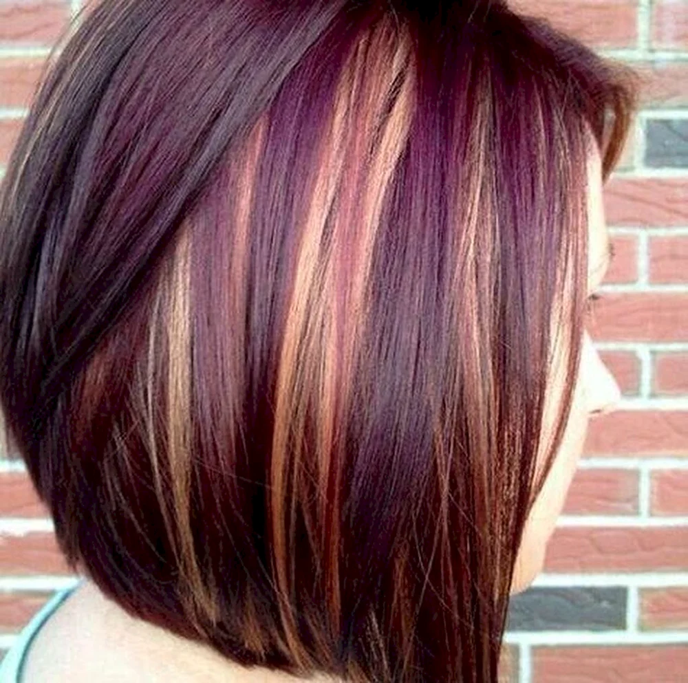Plum Purple Highlight hair