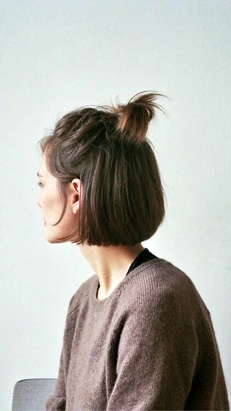 Ponytail Hairstyle for short hair