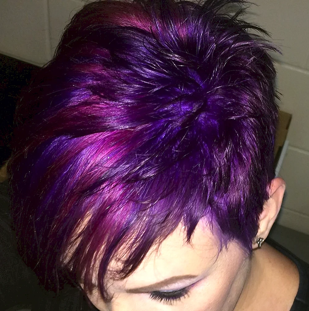 Purple Pixie
