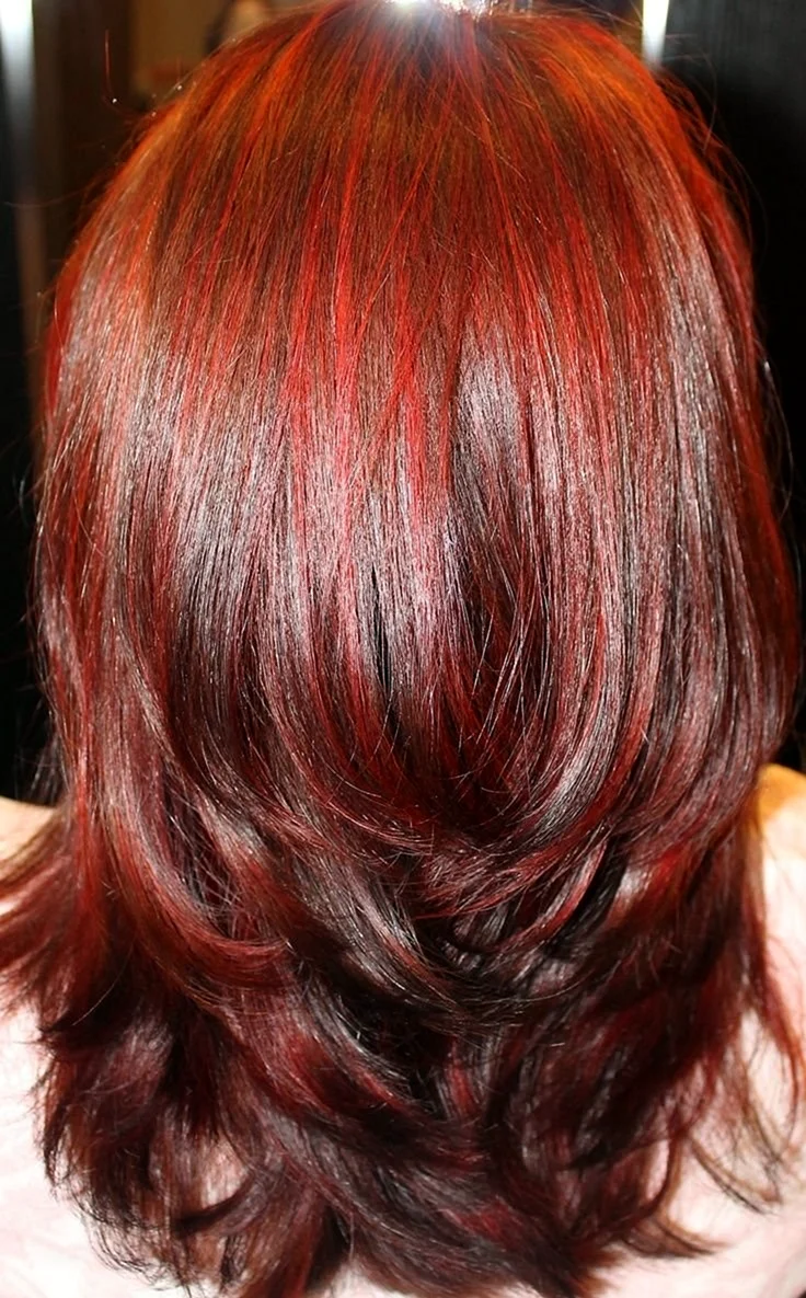 Red Brown hair Color
