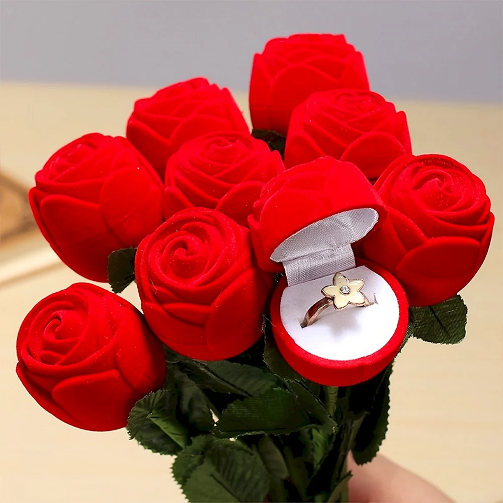 Romantic Red Rose