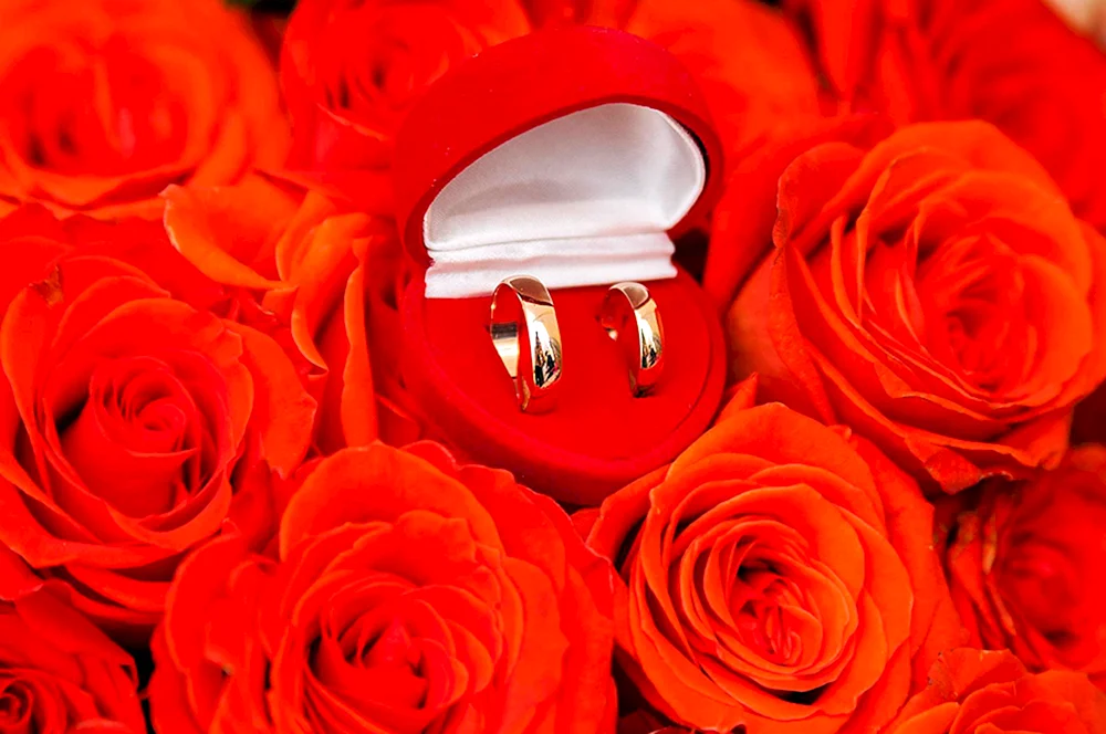 Roses in a Ring