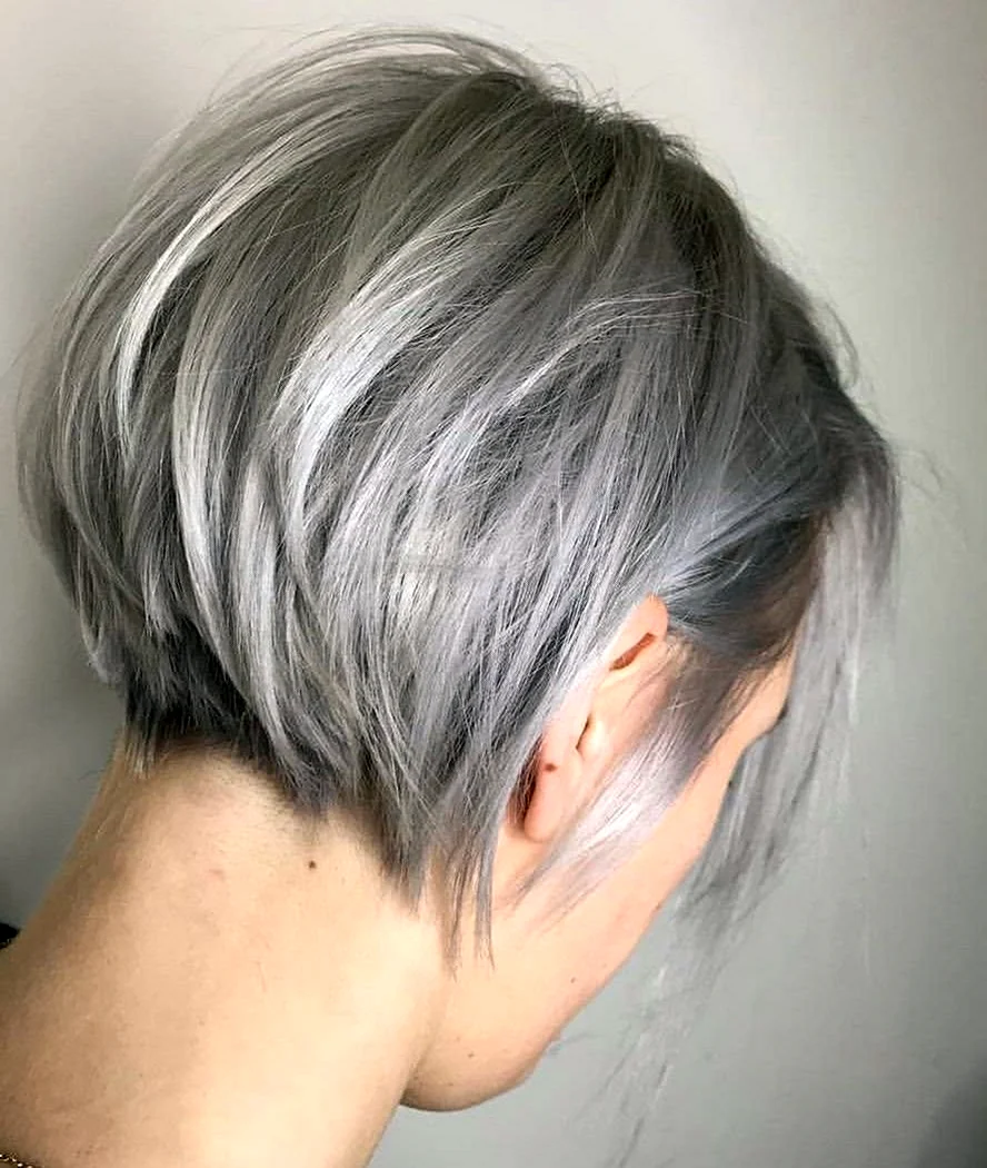 Silver Grey short hair