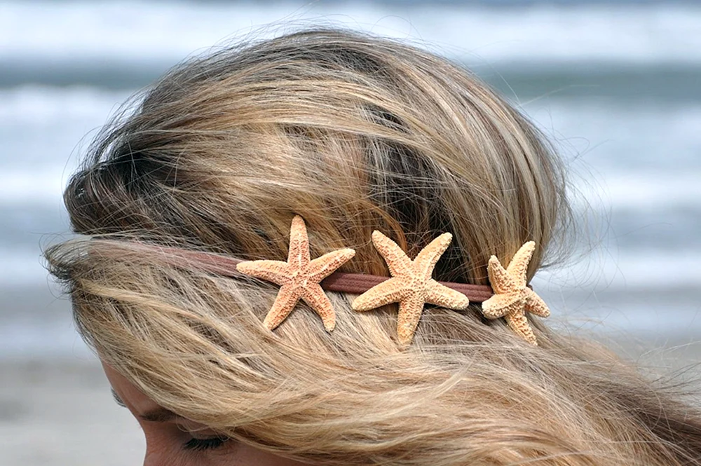 Starfish hair Accessories