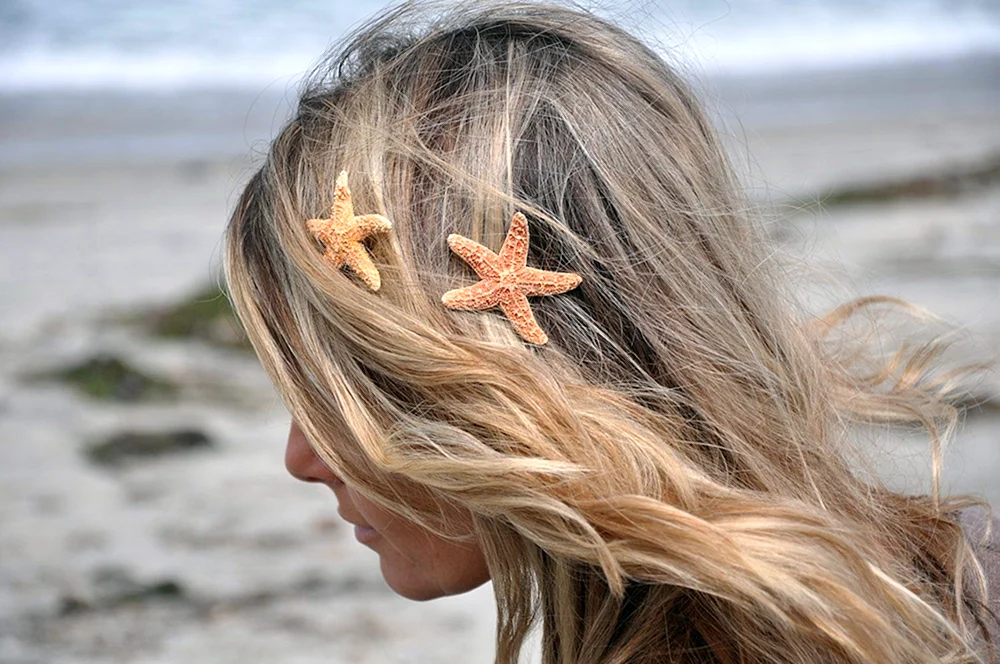Starfish in hair