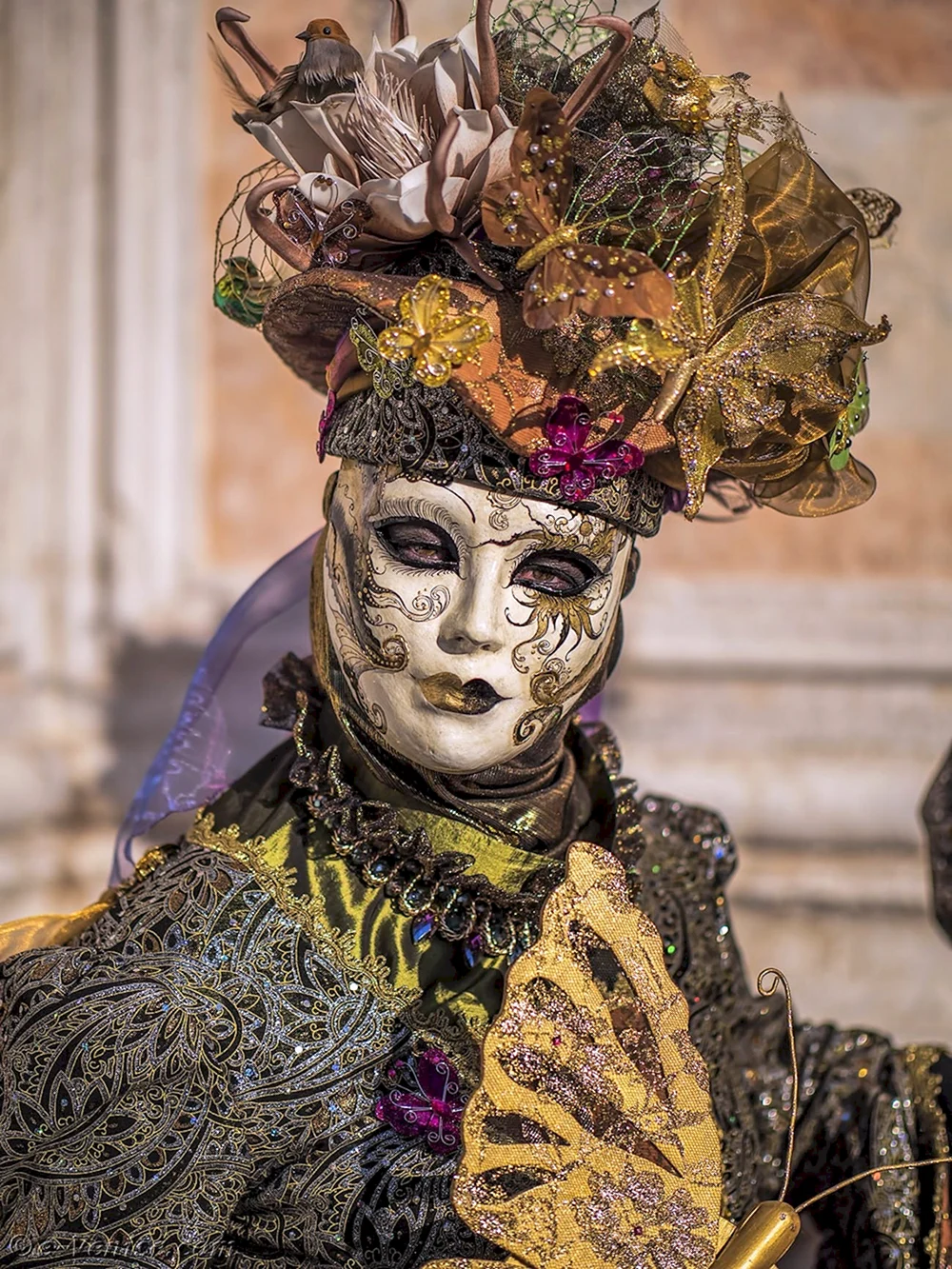 Стиль Венецианский карнавал