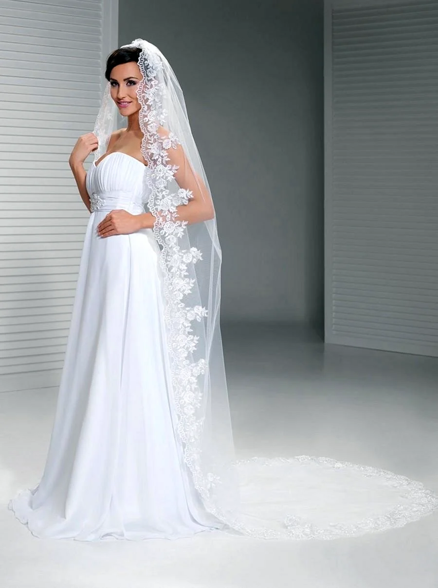 Wedding Dress Veil