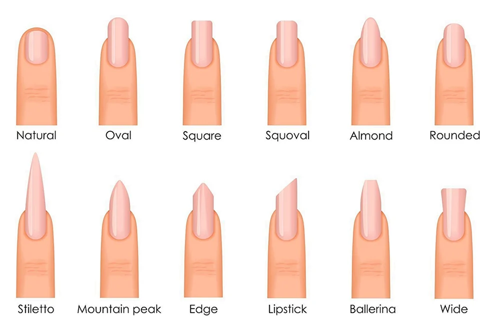 Форма ногтей для наращивания таблица